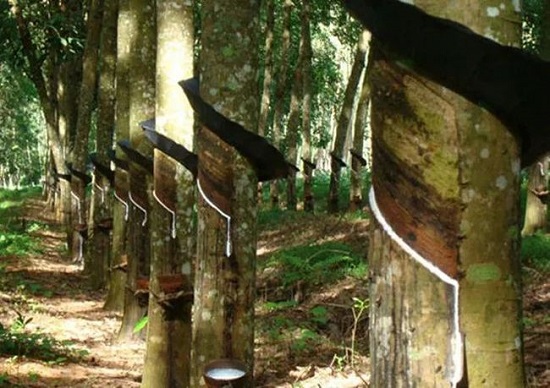 輪胎廠家、經(jīng)銷商的壓力傳導(dǎo) 輪胎廠家、經(jīng)銷商的壓力傳導(dǎo)