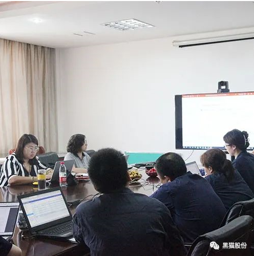 杭州德凱國際認證有限公司對江西黑貓炭黑股份有限公司進行了為期三天的年度監審認證工作 杭州德凱國際認證有限公司對江西黑貓炭黑股份有限公司進行了為期三天的年度監審認證工作