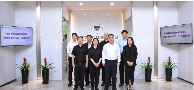 山西省運(yùn)城市委常委、河津市委書記李曉武與河津市委常委、常務(wù)副市長閆新善一行，于今日蒞臨安徽黑貓公司，對其特種炭黑事業(yè)部展開調(diào)研。陪同調(diào)研的還有安徽黑貓公司相關(guān)負(fù)責(zé)人。