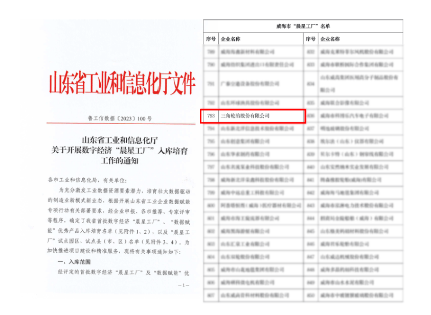 數(shù)字化升級成果顯著，三角輪胎榮登山東省“晨星工廠”