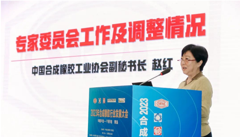 中國合成橡膠工業協會秘書長趙紅詳細介紹了專家委員會的工作情況和新一屆專家委員會的組成。會長梁愛民為專家委員會主任委員張立群院士頒發了聘書，標志著專家委員會的正式成立。