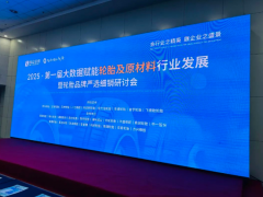 聚焦行業(yè)盛會(huì)！2025 大數(shù)據(jù)賦能輪胎及原材料行業(yè)發(fā)展暨輪胎品牌嚴(yán)選細(xì)銷研討會(huì)精彩呈現(xiàn)