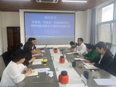 青島“十五五”特種輪胎與高分子材料創(chuàng)新發(fā)展座談會(huì)召開(kāi)