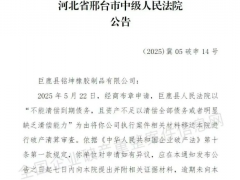 巨鹿銘坤橡膠陷破產清算，輪胎業再掀波瀾