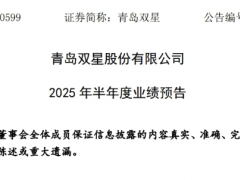 青島雙星 2025 上半年雖虧但現(xiàn)積極信號(hào)
